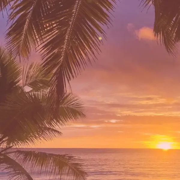 Bahia Samba – Image 3